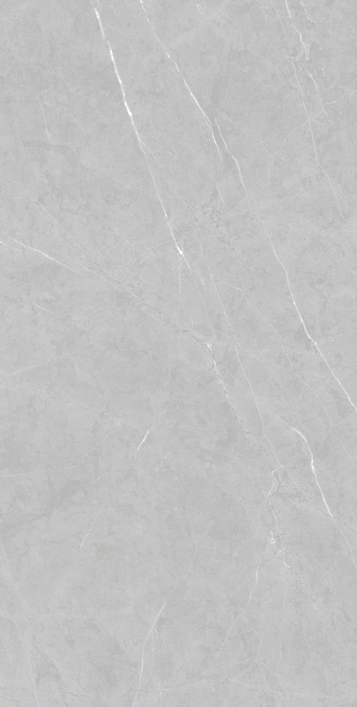 Ariel Grey 600 x 1200mm (Price per m²)
