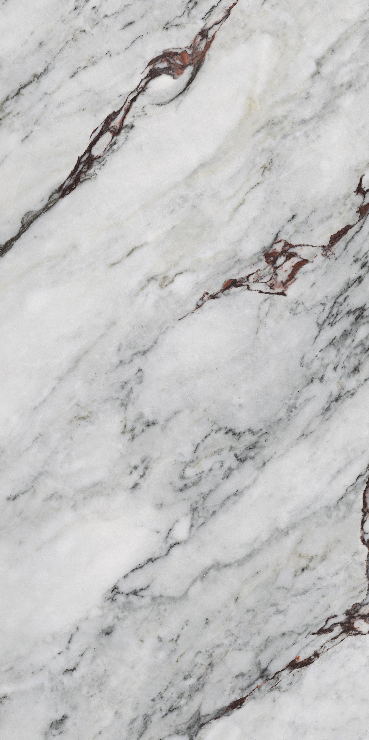 Calcatta 600 x 1200mm (Price per m²)