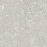 Amara Grey 600 x 600mm (Price per m²)