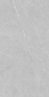 Ariel Grey 600 x 1200mm (Price per m²)