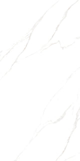 Aurora 600 x 1200mm (Price per m²)