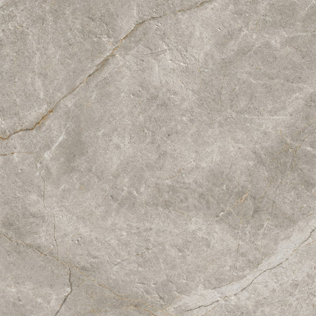 Adore Taupe Matt Smooth Grip tile