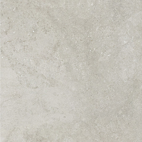 Borgogna Grey Polished tile