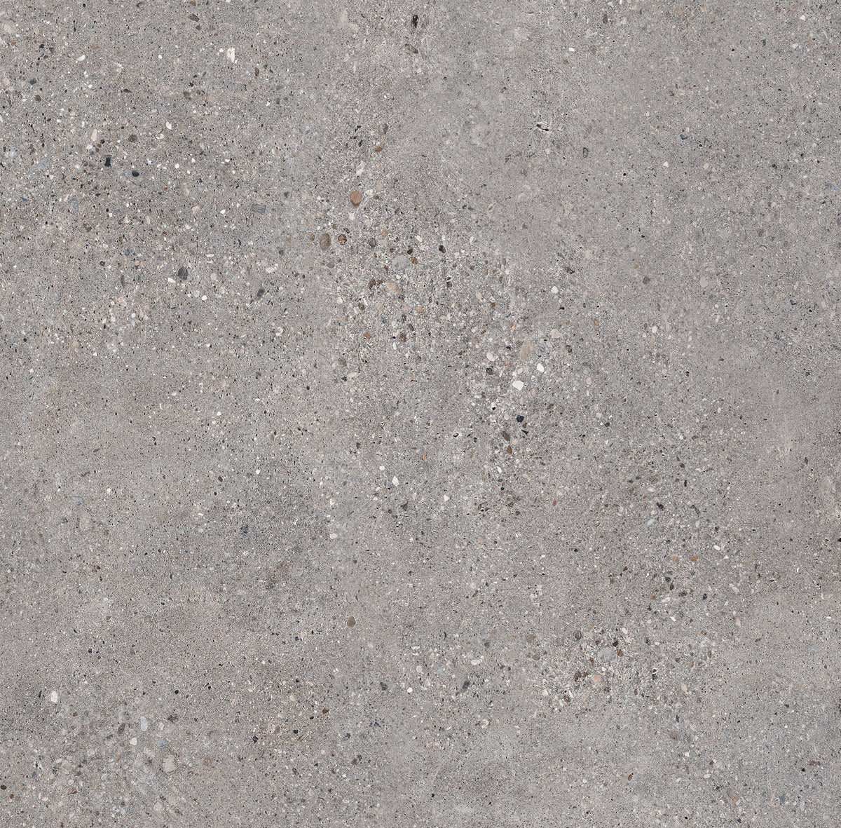 Concrete Dark Grey 600 x 600mm (Price per m²)