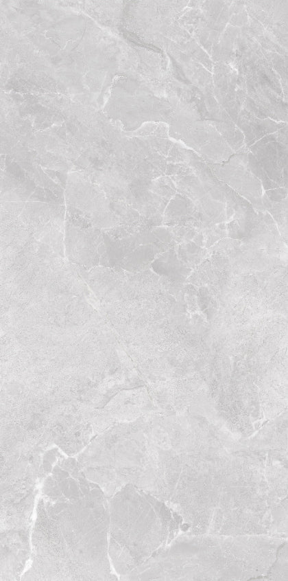 Oceano Grey 600 x 1200mm (Price per m²)