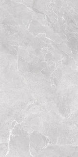 Oceano Grey 600 x 1200mm (Price per m²)