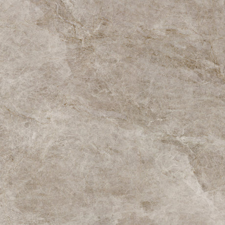 Taj Mahal Beige Silk tile