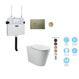 BELLA In-Wall Toilet Suite with Brushed Brass Button
