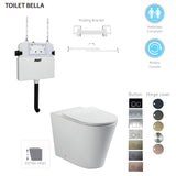 BELLA In-Wall Toilet Suite with Gun Metal Button